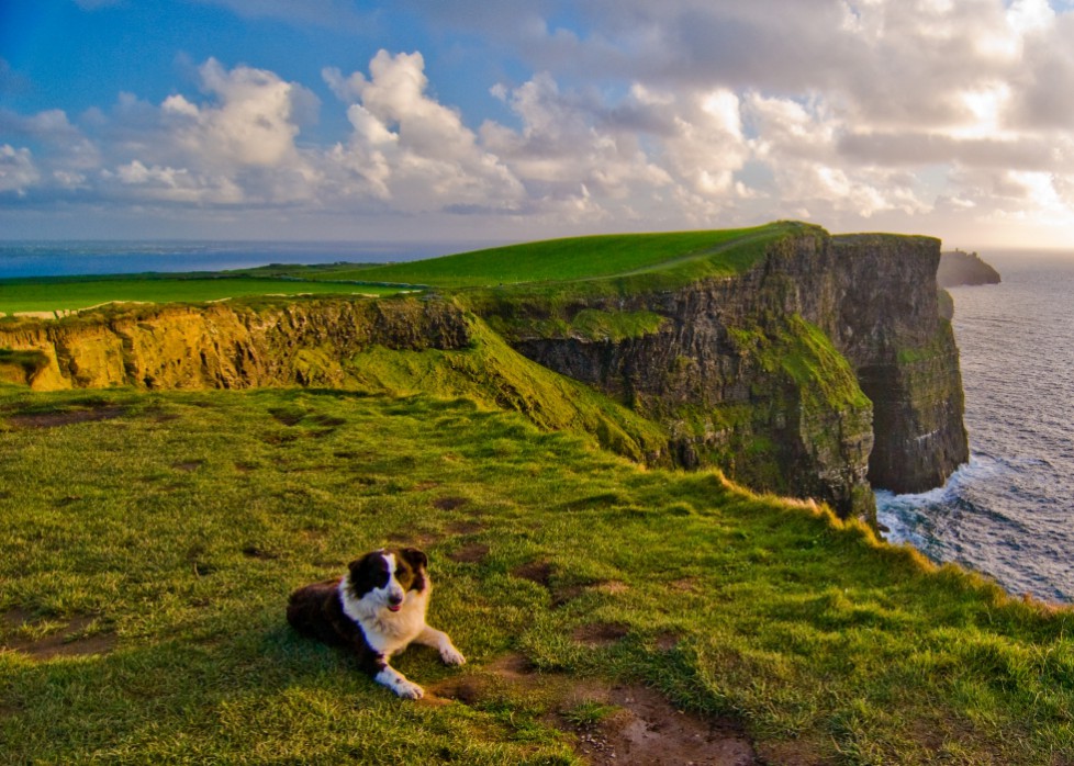 Cliffs of Moher Foto: Sean Tomkins, Tourism Ireland